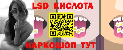 мет Кингисепп