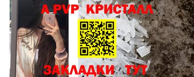 мет Кингисепп