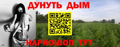 мет Кингисепп
