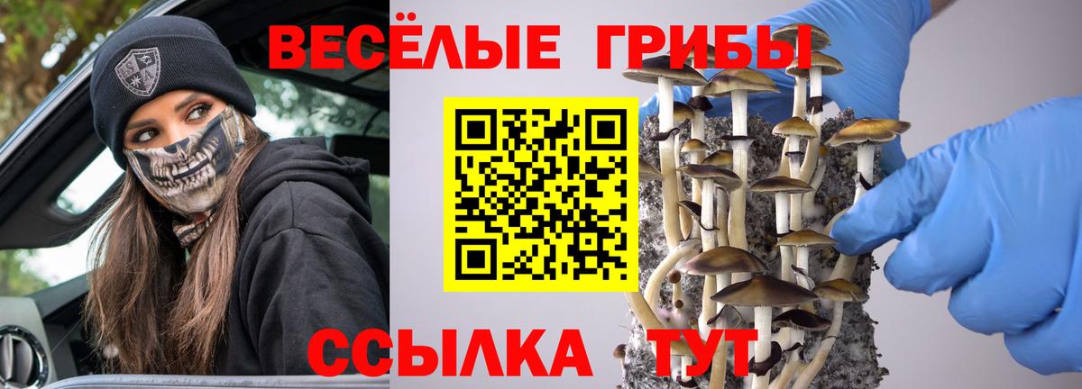 что такое   Псилоцибиновые грибы мицелий  Кинель  Вход с VPN  Псилоцибиновые грибы Cubensis 